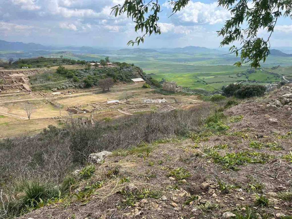 Erasmus, Day 6- Pics